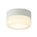 �R�C�Y�~�Ɩ� �G�N�X�e���A LED�V�[�����O���C�g �����p �h�J�E�h���^ �����v�����\ 60W���� �d���F AU52647