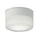 �R�C�Y�~�Ɩ� �G�N�X�e���A LED�V�[�����O���C�g �����p �h�J�E�h���^ �����v�����\ 60W���� �����F AU52648