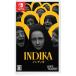  новый товар Nintendo Switch soft Indy ka