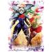  новый товар Duel Masters DX карта рукав книга@ талант храм Curren & Chaos Mantra - обратная сторона порез. героиня -