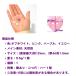 haoa �n�[�g�̊L�{�^��  1�� �P�i �o������ ��� �V���c �����s�[�X �u���E�X �m�� �m�� ��| �N���t�g ���a12mm �֘A�摜2