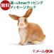᡼OK schleich 13827N 饤 ưʪ ե奢   3  ΰ  