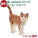 ᡼OK schleich 13836 饤 ưʪ ե奢 ͥ  3  ΰ  