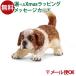 ᡼OK schleich 16834 饤 ưʪ ե奢 ȥСʡɡʻơ  3  ΰ  