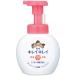 ライオン キレイキレイ 薬用 泡ハンドソープ フルーツミックスの香り 本体 250mL 1個 目安在庫=○