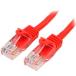 �ӣ����ԣ��补���� ���ƥ���5e(CAT5e)LAN�����֥�/10m/��å�/�ĥ��ޤ��ɻߵ��� �ܰº߸�=��