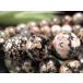 �t�����[�I�u�V�f�B�A�� �u���X���b�g 10mm�~19��O�� �z���C�g�I�����W�̉��ȍʂ� �V�R�͗l���炩����Ԃ̂悤�Ȕ� �����Ɠ��@���T�|�[�g ���L�V�R�Y