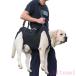  уход . собака уход для товары для ухода уход для Harness собака приспособление для ходьбы Harness домашнее животное zonchi- Harness уход сопутствующие товары маленький размер собака средний собака большой собака . собака . применение товары для домашних животных домашнее животное товары 