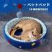  кошка для коготь .. bed домашнее животное bed кошка bed кошка .... коготь точить круглый космический корабль zonchi- звезда мяч имеется .. тоже трещина нет домашнее животное диван диван коготь .. легкий 