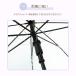 �K�[���Y 58cm �O���X�t�@�C�o�[�� �W�����v�� ���P �ʊw ���w�� ���w  ���� ���̎q �J�P �ʊw �֘A�摜2