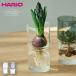 ハリオ ガラスのある生活 ガラスの花器 HARIO 　フラワーベース ガラス 花器 花瓶