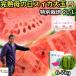  арбуз Kumamoto День матери скидка за ранний заказ подарок большой шар специальный культивирование День матери самый . стул .. сахар раз 12 раз и больше 2L~L 1 шар примерно 5~6 порции 