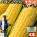  corn . middle origin raw . meal ..... thing sweet corn Kagawa three . production 2L 4ps.@ sugar times Father's day present 