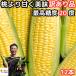  corn .. equipped peach ....2L-L mixing 1 2 ps morning . total 45 ten thousand book@ breakthroug . taste Nagano prefecture out un- . highest sugar times 20 times 
