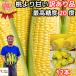  кукуруза .. есть персик ....2L-L смешивание 1 2 шт утро ... префектура вне не . сырой еда OK. тест Nagano доверие . блок 2026