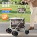 [ все магазин 5%OFF купон использование!] коляска для пожилых senior car складной покупка машина Cart популярный сиденье . пожилые люди . год .. товары для ухода модный ручная тележка покупка 