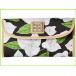 Dooney & Bourke Bougainvillea Continental Clutch ドゥーニー&バーク Clutches WOMEN レディース Black w/ Natural Trim