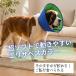 �G���U�x�X�J���[ �����O �\�t�g ���b�V�� �� �ڂ̕ی� �_�炩 ���^�� ��^�� ���r�� ���������h�~ �y�� �y�b�g�p �֘A�摜1