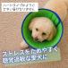 �G���U�x�X�J���[ �����O �\�t�g ���b�V�� �� �ڂ̕ی� �_�炩 ���^�� ��^�� ���r�� ���������h�~ �y�� �y�b�g�p �֘A�摜4