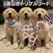 ���p �������[�h 3������ ���܂Ȃ� 3�� ���[�h ���^�� ���^�� �U���O�b�Y �������� �񓪈��� �_�u�����[�h �O������ �g���v�����[�h �� �U�� �����₷�� ���U�� �֘A�摜2