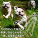 ���p �������[�h 3������ ���܂Ȃ� 3�� ���[�h ���^�� ���^�� �U���O�b�Y �������� �񓪈��� �_�u�����[�h �O������ �g���v�����[�h �� �U�� �����₷�� ���U�� �֘A�摜5