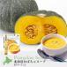 �k�C��a �k�C�����ڂ���X�[�v �|�^�[�W�� Pumpkin Soup ���k�C���Y���ڂ���g�p �S�ܓ��聄