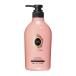 マシェリ モイスチュア コンディショナー EX 本体 450mL ファイントゥデイ (MA CHERIE) しっとりまとまる