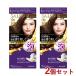 �T�����h�v�� �A�̃w�A�J���[�E�G�N�X�g�����b�` �����p 6 �_�[�N�u���E�� 2�Z�b�g SALON de PRO �_����(DARIYA) ������(�k�C������)