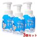 地の塩 ママのきもち ベビー泡の全身ソープCS(泡タイプ) 330ml×3個セット 顔・からだ用 ボディソープ  CHINOSHIO 送料込