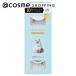 [ Point 10% back 4 month 25 day ] Dolly u ink salon eyelashes (NO4 eyes ...... cat ) 2P