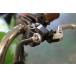 �� �N���b�`�A�W���X�^�[ �N�������b�L 1�� �V�i �ėp W400 250TR �֘A�摜2