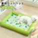  домашнее животное bed лето весна лето кошка bed собака bed .... летний домашнее животное коврик сетка материал контакт охлаждающий кошка для кошка коврик ...20KG до соответствует предотвращение скольжения популярный 
