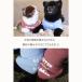 �y��1700~�z�� ���� �N�[�� �Ђ��� �h�� �ĕ� �⊴ T�V���c �ڐG�⊴ �h�� �����₷�� ���E�ȒP ���^�� ���^�� ��^�� ����  �� COTEN �֘A�摜2
