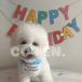 �� �a���� �O�b�Y �Z�b�g �o�[�X�f�[ �X�q �X�^�C �y�b�g ���^�� ���^�� �L ���a������ ���� �p�[�e�B�[ ���� �C�x���g �� ���� happybirthday ���� COTEN �֘A�摜3