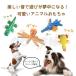�� �������� �� �� ���� �ʂ������ 2�^�C�v �ȂȂ� �Ȃ��� ���̏o�� ��v ���^�� ���^�� ��^�� �y���� �X�g���X���� �V�� ���S ���� COTEN �֘A�摜1