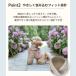 �� �n�[�l�X ���[�h �Z�b�g �����ɂ��� ���^�� ���^�� �t���� ���킢�� ���b�V�� ���S�����Ȃ� ���� �ȒP���� ������� ���[�h�t�� COTEN �֘A�摜4