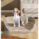  домашнее животное туалет tray собака воспитание собака для туалет tray собака для туалет .. безграничный snoko домашнее животное туалет тренировка пара вверх постоянный размер модный 