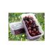 &lt; рефрижератор &gt; Dell Hsu ru.. Berry Mix 500g