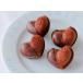 �y�①�ցzcotta �哌�J�J�I �N�[�x���`���R���[�g �X�C�[�g 1kg �֘A�摜2