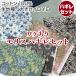  разделение есть Maurice - gire комплект ( единица измерения :1 комплект )