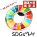SDGs ピンバッジ 1個 国連本部限定 公式 国連 ショップ 限定 正規品 丸み サステナブル 17 目標 日本未発売 バッチ バッヂ sdgs