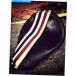  ץƥ󥢥ꥫץ󥰥ȥХȥϡ꡼ݡĥ1200åեåץ Captain America Spring Solo Motorcycle S