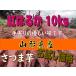  Yamagata префектура производство .. ..10kg пробная цена сырой клубень батат земля имеется . - ..10 kilo нынешний последний отгрузка.!