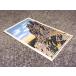  Vintage -50*s*DEADSTOCK отметка *ob* блокировка smontana пейзаж открытка *250804m1-otclct письмо подарок интерьер смешанные товары 