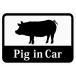 Pig_in_Car [ Mini свинья |pig] автомобильный стикер ( магнит ) s41