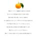 �̂�X�^�C�� ��� ���t�� �V�R�S����� UV�J�b�g �_�Ə��q �K�[�f�j���O NS-25  (2���܂Ńl�R�|�X) �֘A�摜1