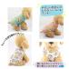 �y�݌ɏ����Z�[���z�� �� �^���N�g�b�v �������� �H�ו� �V���v�� ���Ђ�  �� �Ђ��� �h�b�O�E�G�A ���^�� ���^�� ���킢�� ������� ���� �֘A�摜3