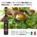 �J�X�e���E�f�B�E���S�E�I�[�� �G�L�X�g���o�[�W���I���[�u�I�C�� 500ml �֘A�摜1