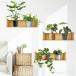 �E�H�[���X�e�b�J�[ �A�� �ϗt wallshelf &amp; plants 2 �� �O���[�� �� ���� �C���e���A �V�[�� diy �ǎ� �k�� �I�V����  �� �L�b�`�� �g�C�� ���r���O ����