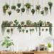 �E�H�[���X�e�b�J�[ Succulents ������� �A�ؔ� �k�� �� �� �A�� �O���[�� �� �Ǐ��� �C���e���A �V�[�� diy �ǎ� �V�[�� �� �L�b�`���g�C�� �Q�� ���� ���R